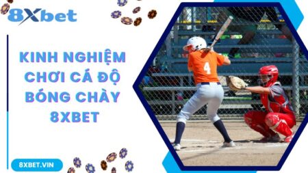 Kinh Nghiệm Chơi Cá Độ Bóng Chày Chắc Chắn Thắng Tại 8Xbet